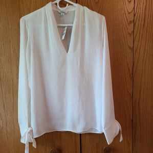 Classic V-neck Blouse from Express